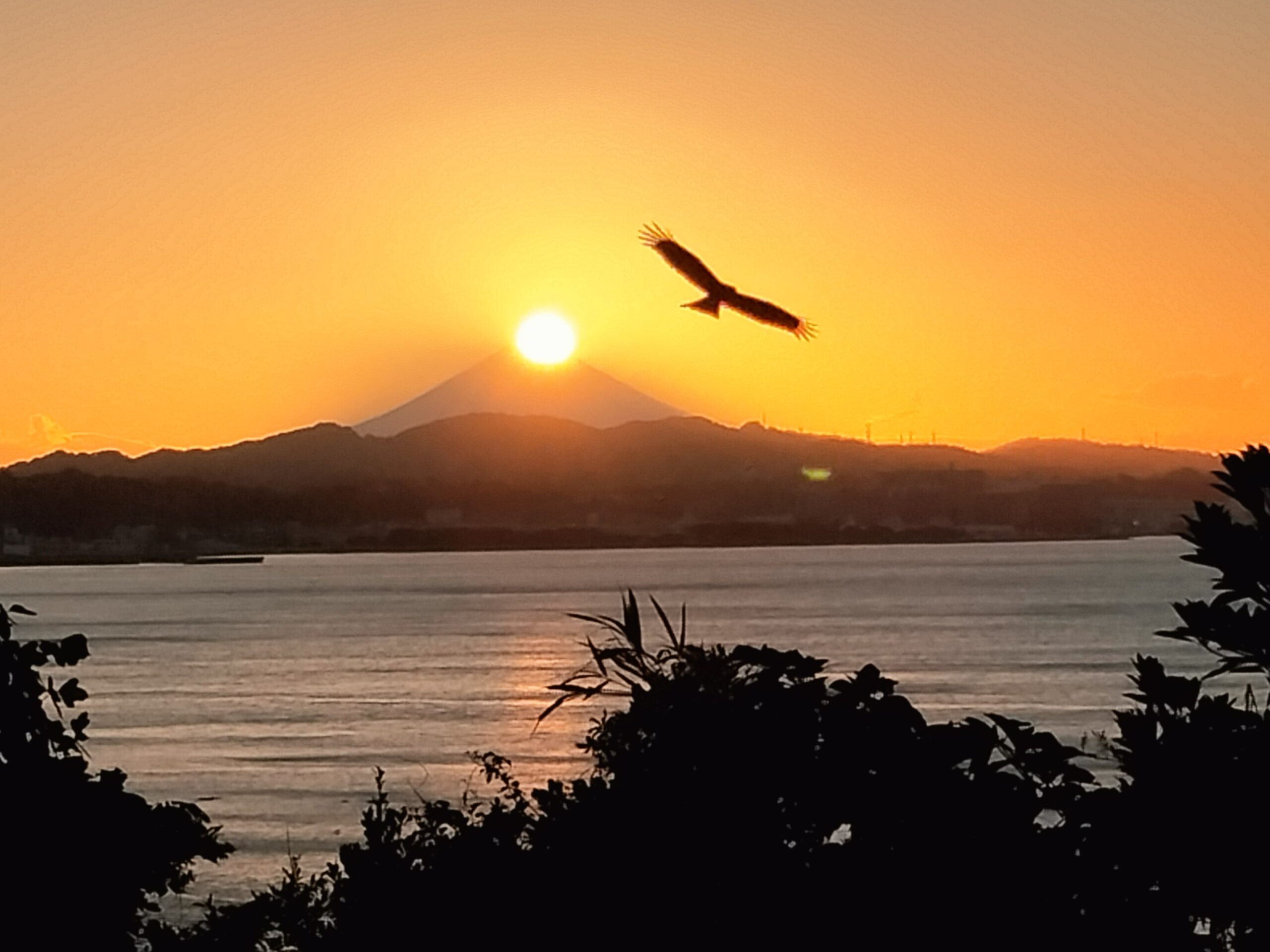 審査結果発表 │ 令和6年度「大津・観光写真コンクール」 - 大津観光協会